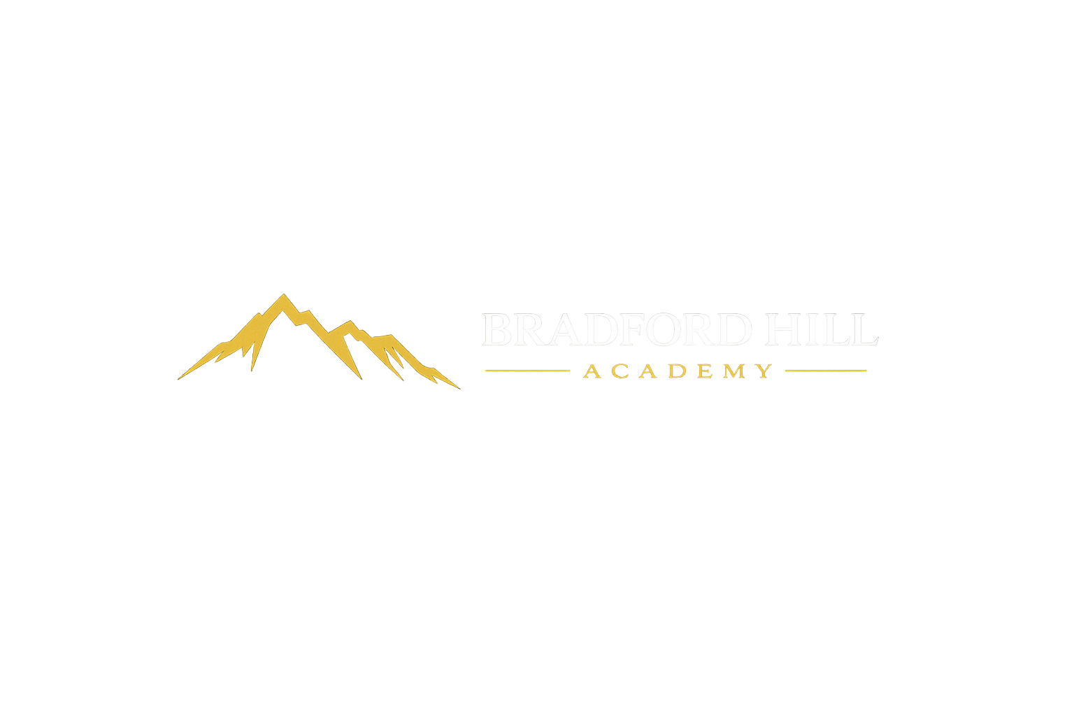 Bradford Hill Academy